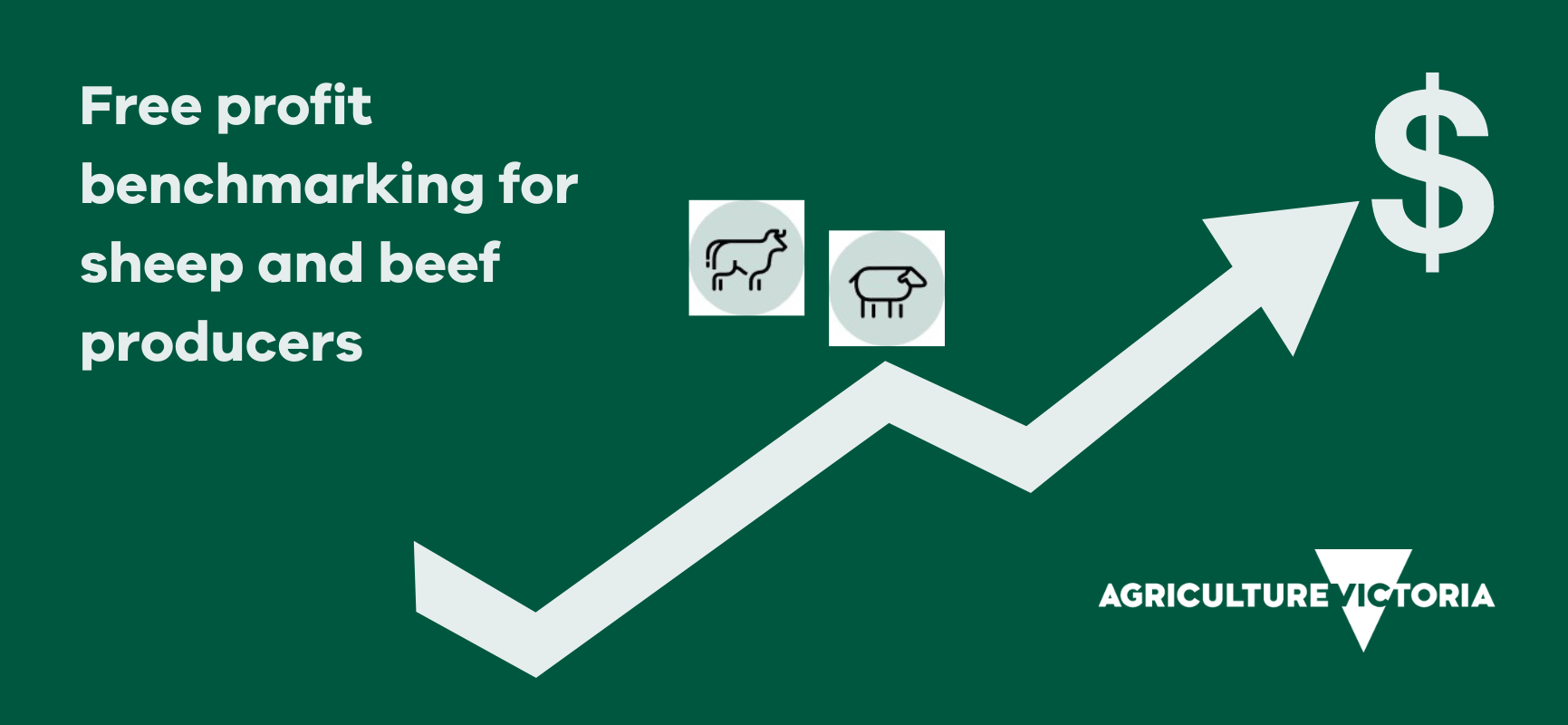 Free profit benchmarking for sheep and beef producers