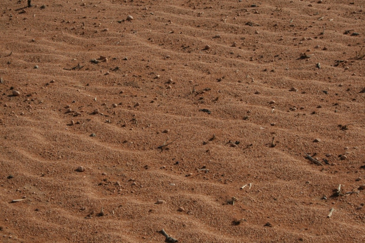 A close-up of a brown sandy area with ripples in the sand and some clods on the surface.