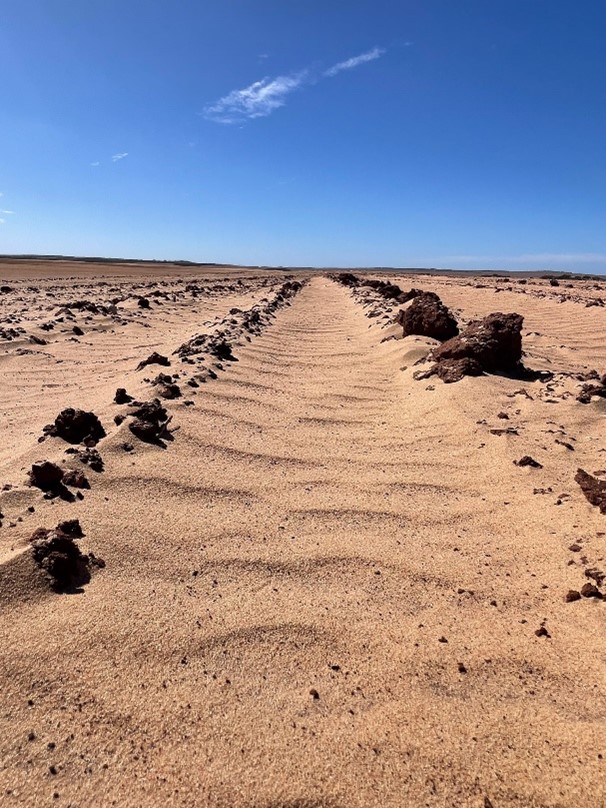 Clods in rip lines on sands that have been eroding. They are one metre apart but in the wrong direction.
