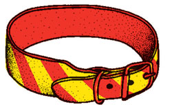 Image of a warning collar attached to a restricted breed dog, it features an orange band with diagonal yellow stripes on the outside rim