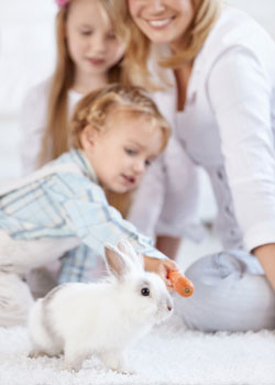 Children being supervised while playing with pet rabbit