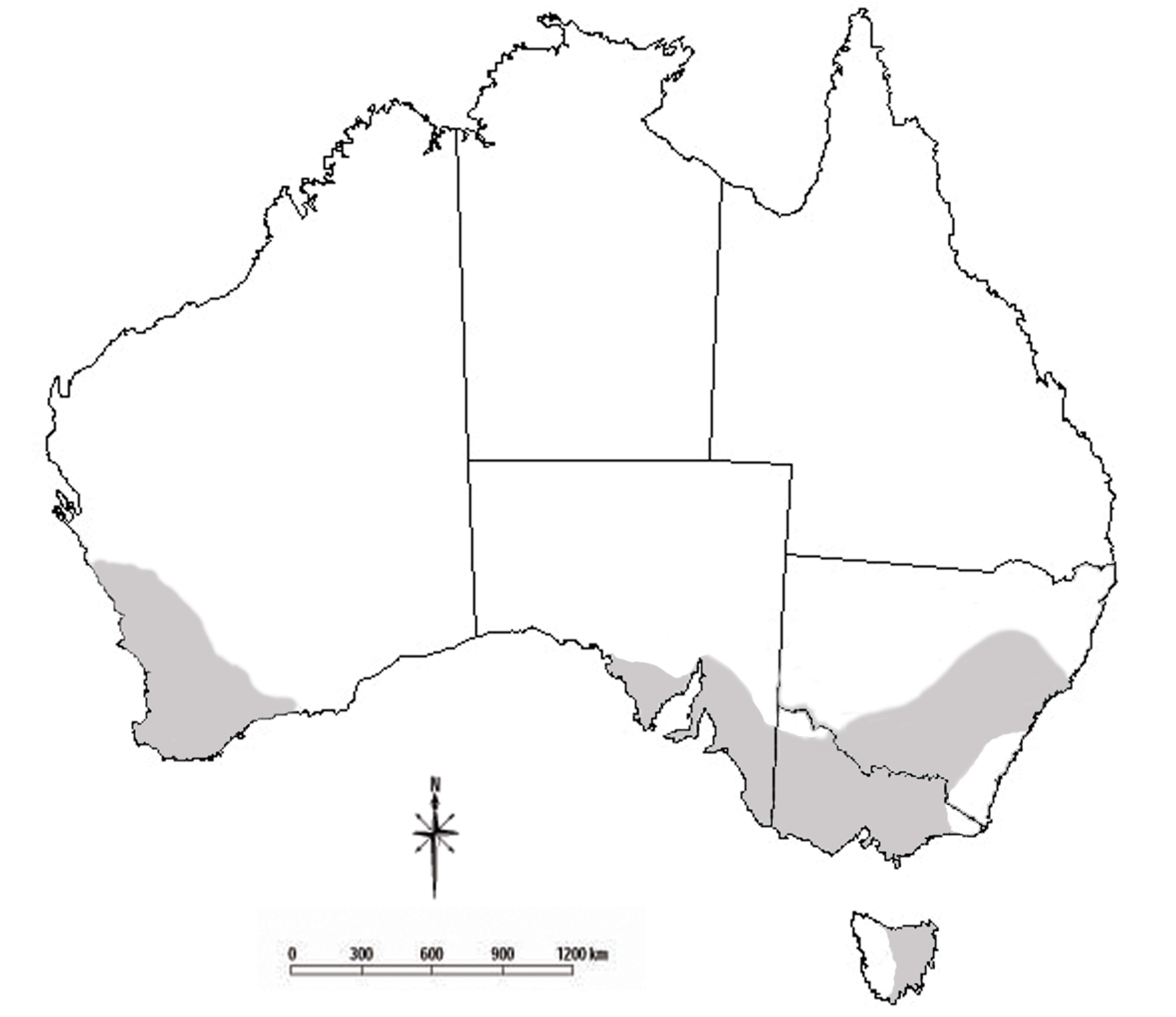 Drawing of Australia with grey shaded areas showing the known distribution of lucerne flea. Shaded areas  include Victoria, eastern Tasmania, south-west corner of Western Australia, south-east of South Australia and  a south-eastern band of New South Wales.