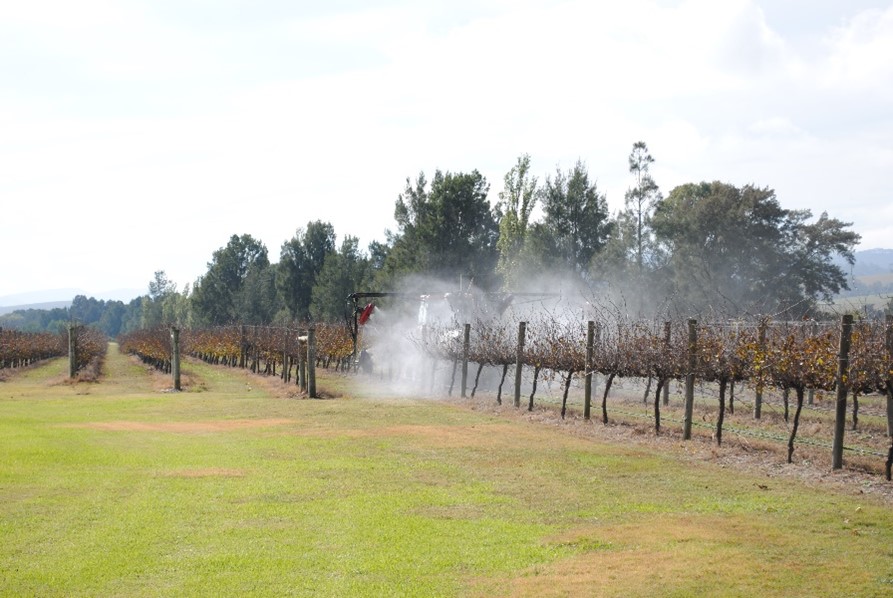 Image of a tractor spraying grape vines.