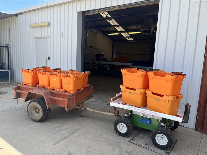 A small autonomous loaded with four fruit picking bins towing a small trailer loaded with 12 fruit picking bins