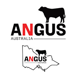 Angus Australia