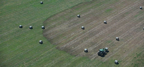 Aerial view of a farm paddock showing a distinct area of bare ground contrasting with surrounding vegetation.