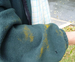 Person's wearing a fleece jacket with yellow spores on the sleeve