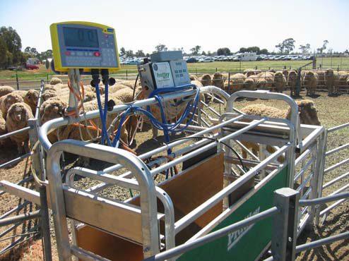 Panel reader set up with scale indicator and 3-way drafting system