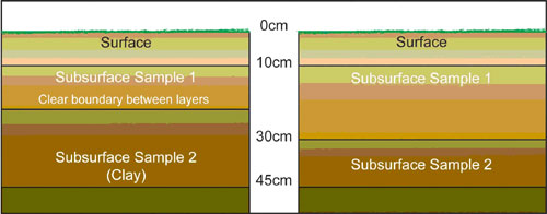 Diagram showing sampling depths. Surface is 0cm to 10cm, Subsurface Sample 1 is approx 10cm to 30cm and Subsurface Sample 2 is 30cm to 45cm. If Sample 2 is clay it is closer to 25cm to 45cm or that layer.
