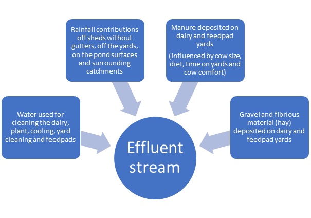 Figure 2 shows illustrates the contributions from the dairy into dairy effluent.  Effluent is made up of water used for cleaning the dairy and yard, rainfall falling onto yards and other surfaces such as ponds, manure deposited on yards and feedpads as well as gravel and fibrous material.   