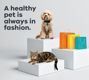 A shaggy tan poodle-cross dog, a tabby cat and 3 colourful paper shopping bags on shopping display plinths, beside the  headline, “A healthy pet is always in fashion”. 