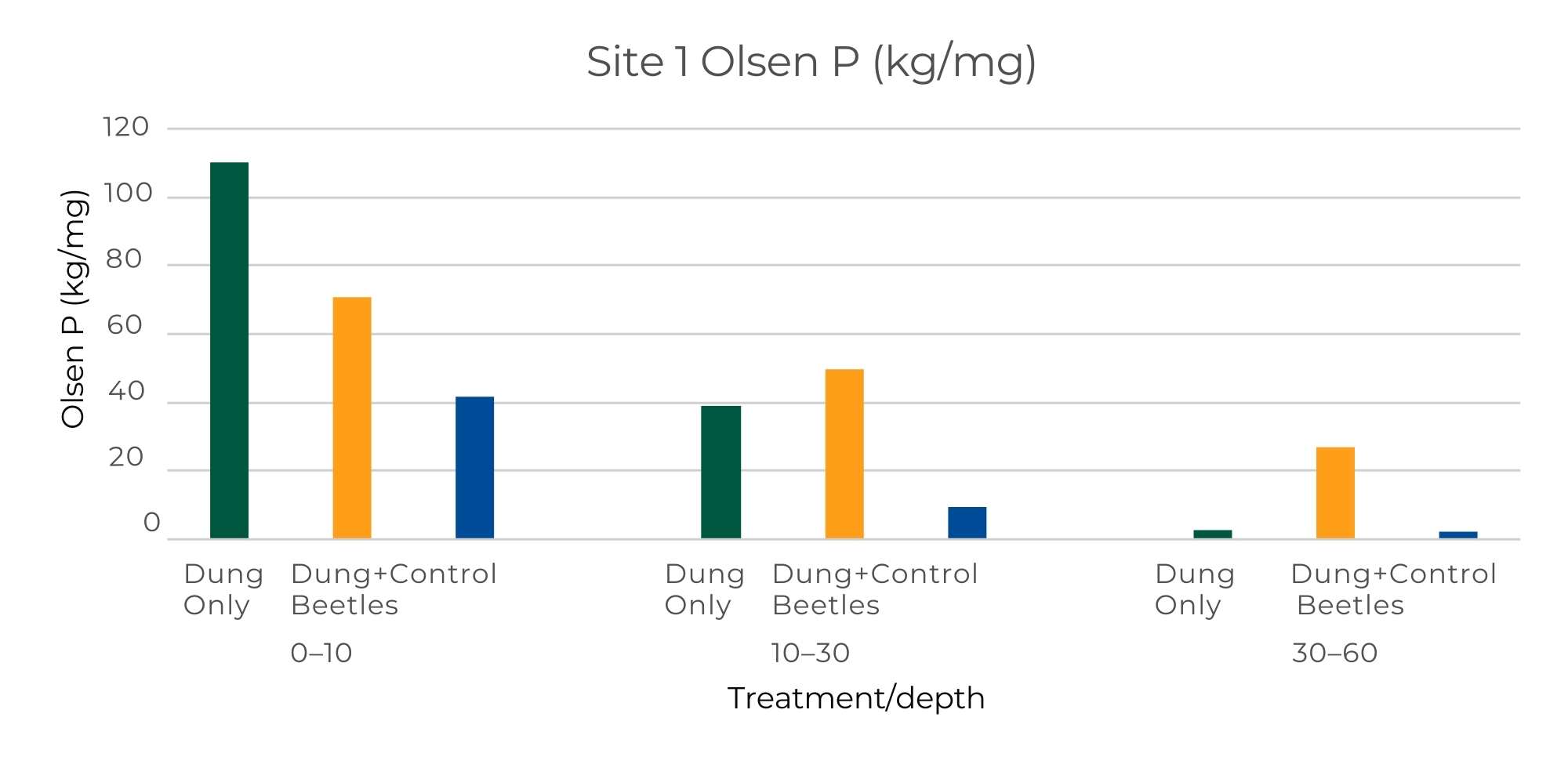 Dung Only, Dung+Beetle and Control Olsen Phosphorus June 2021 – 1 year after burial