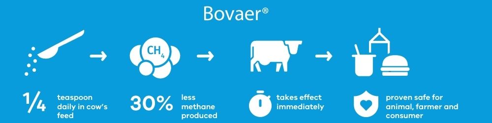 Infographic produced by DSM Nutrition to summarise the effectiveness of Bovaer®.