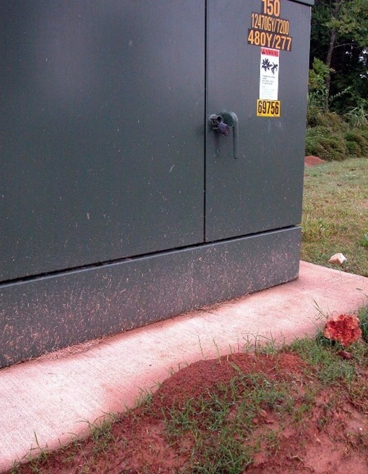 Fire ant nest near electric box.