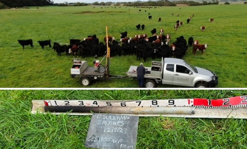 A composite image of 2 photos of soil sampling in paddocks.