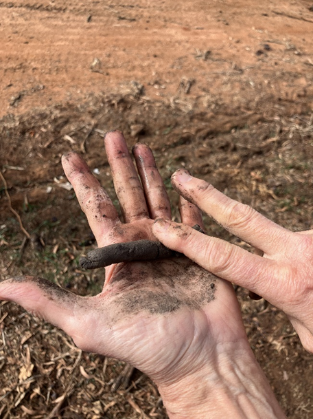 A rod of clay on the palm of a hand.