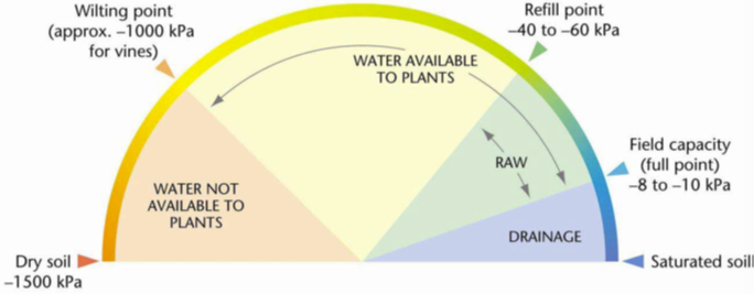 Figure showing illustrating different levels of water availability. Dry soil (between &minus;1500 kPa and the wilting point, &minus;1000 kPA) will not have any water available for plants. Above the refill point of around &minus;40 kPa to &minus;60 kPa there will be readily available water, though above around &minus;8 kPa to &minus;10 kPa the ground is saturated and will require drainage.