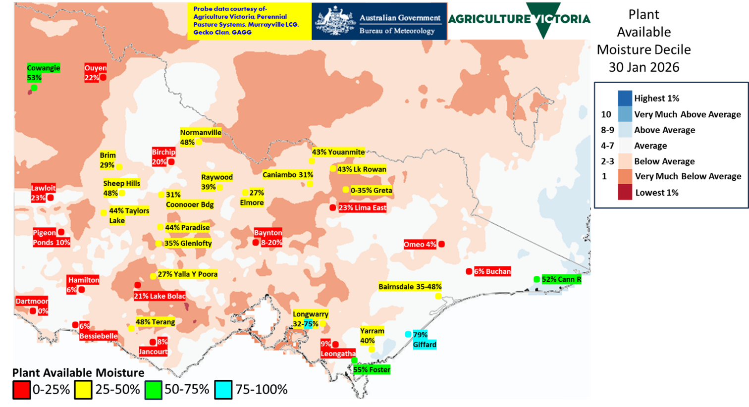 Map of Victoria showing modelled plant available moisture deciles with most areas of the state generally drier than average, with central and east Gippsland closer to normal. Probe values are below 50% across the state, with the exception of coastal Gippsland.