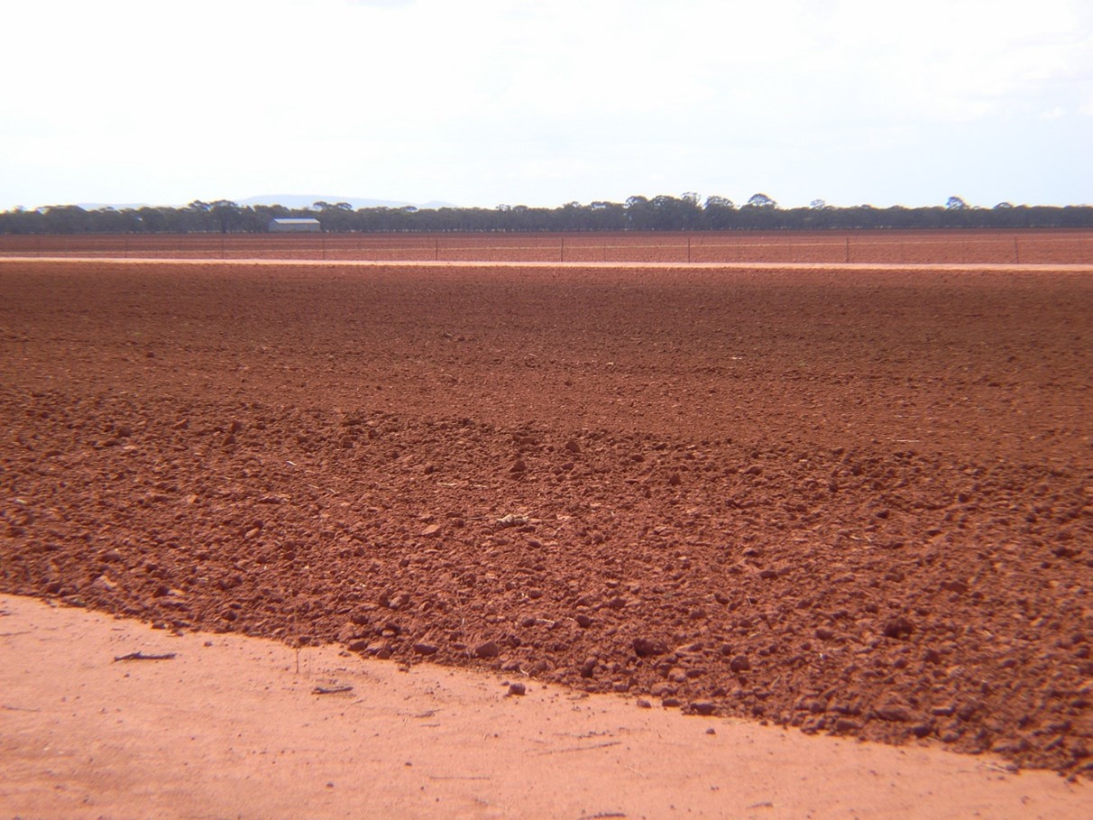 A red soil showing cloddy soil which has been fully cultivated. In the foreground, the uncultivated soil is flat.