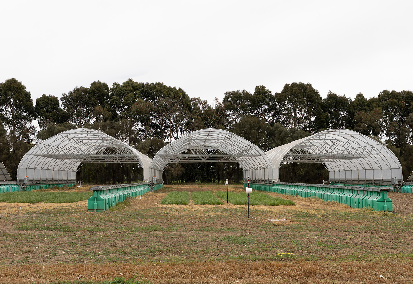 Rainfall infrastructure at Hamilton SmartFarm advancing pasture and farming systems research.