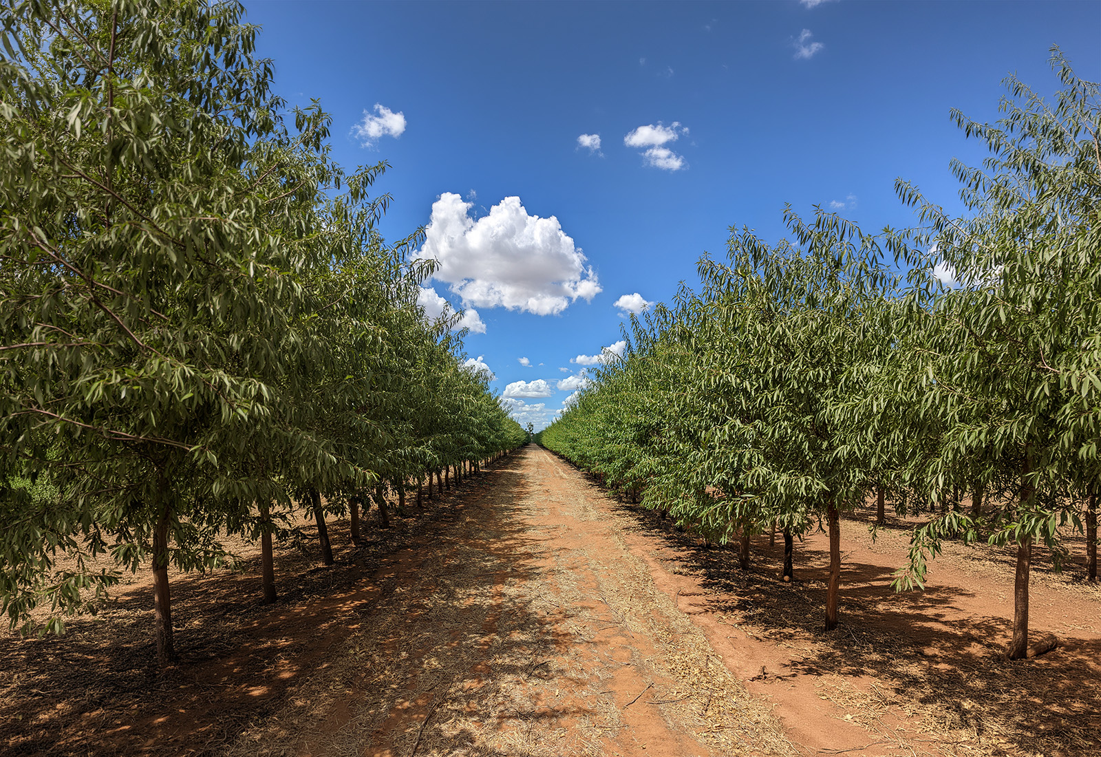 Agriculture Victoria&rsquo;s SmartFarms provide real world research into soil and water management for resilient irrigated agriculture.