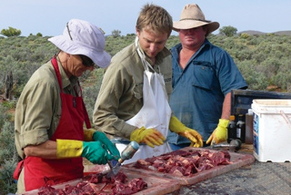 Men baiting some meat