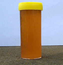 Specimen container filled with honey