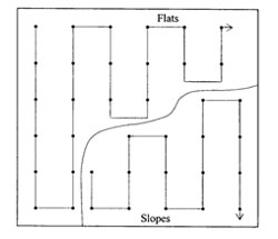 Diagram showing locations for taking 30 samples on a small, irregular shaped paddock with flats and slopes. Taking an up and down pattern similar to the first diagram, sample throughout the flat section then the sloped section in the same up and down pattern. 