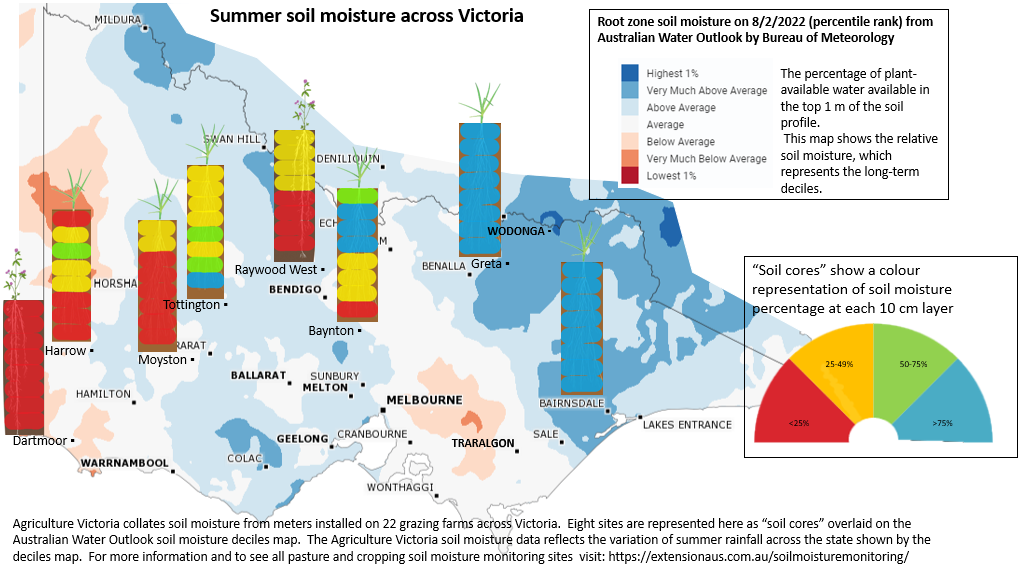 Agriculture Victoria collates soil moisture from meters installed on 22 grazing farms across Victoria.  Eight sites are represented here as “soil cores” overlaid on the Australian Water Outlook soil moisture deciles map.  The Agriculture Victoria soil moisture data reflects the variation of summer rainfall across the state shown by the deciles map.  For more information and to see all pasture and cropping soil moisture monitoring sites  visit: https://extensionaus.com.au/soilmoisturemonitoring/  
