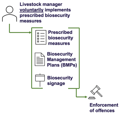 The first phase of the flowchart includes an outline of a person and the text ‘Livestock manager voluntarily implements prescribed biosecurity measures’. An arrow leads to the second phase of the flowchart, which includes a document icon and the text ‘Prescribed biosecurity measures’, a document icon and the text ‘Biosecurity Management Plans (BMPs)’ and blank sign icon and the text ‘Biosecurity signage’. An arrow points right to the third phase of the flowchart which shows a drawing of a gavel and the text ‘Enforcement of offences’.