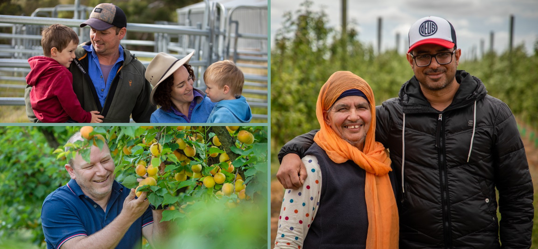Images ALT Text: 1. Farming family smiling at each other standing in front of cattle yards. 2. Smiling man picking apricots in an orchard. 3. Smiling man with his arm around a woman, standing in an orchard.