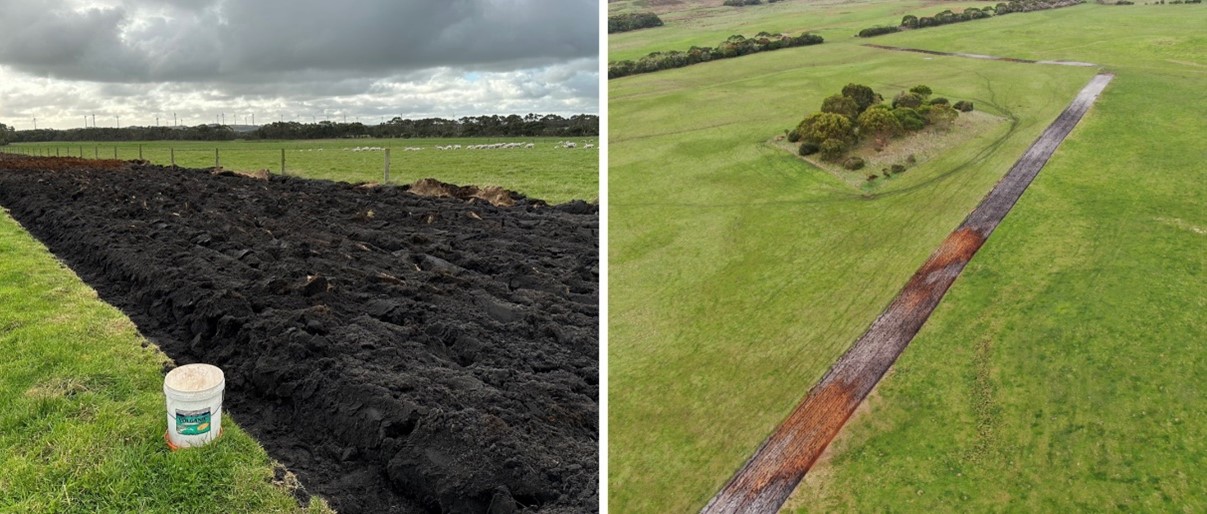 A composite image of 2 views of the 1.7-hectare tree line the O'Sullivans have added to their farm.