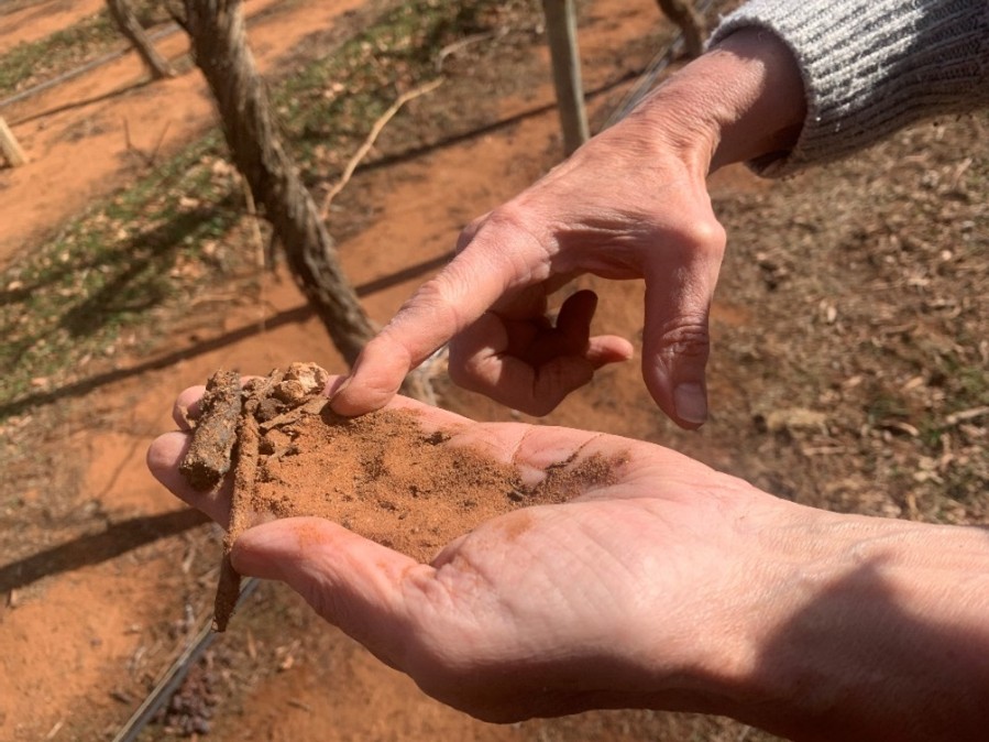 Rolled-up sample of soil on a hand.