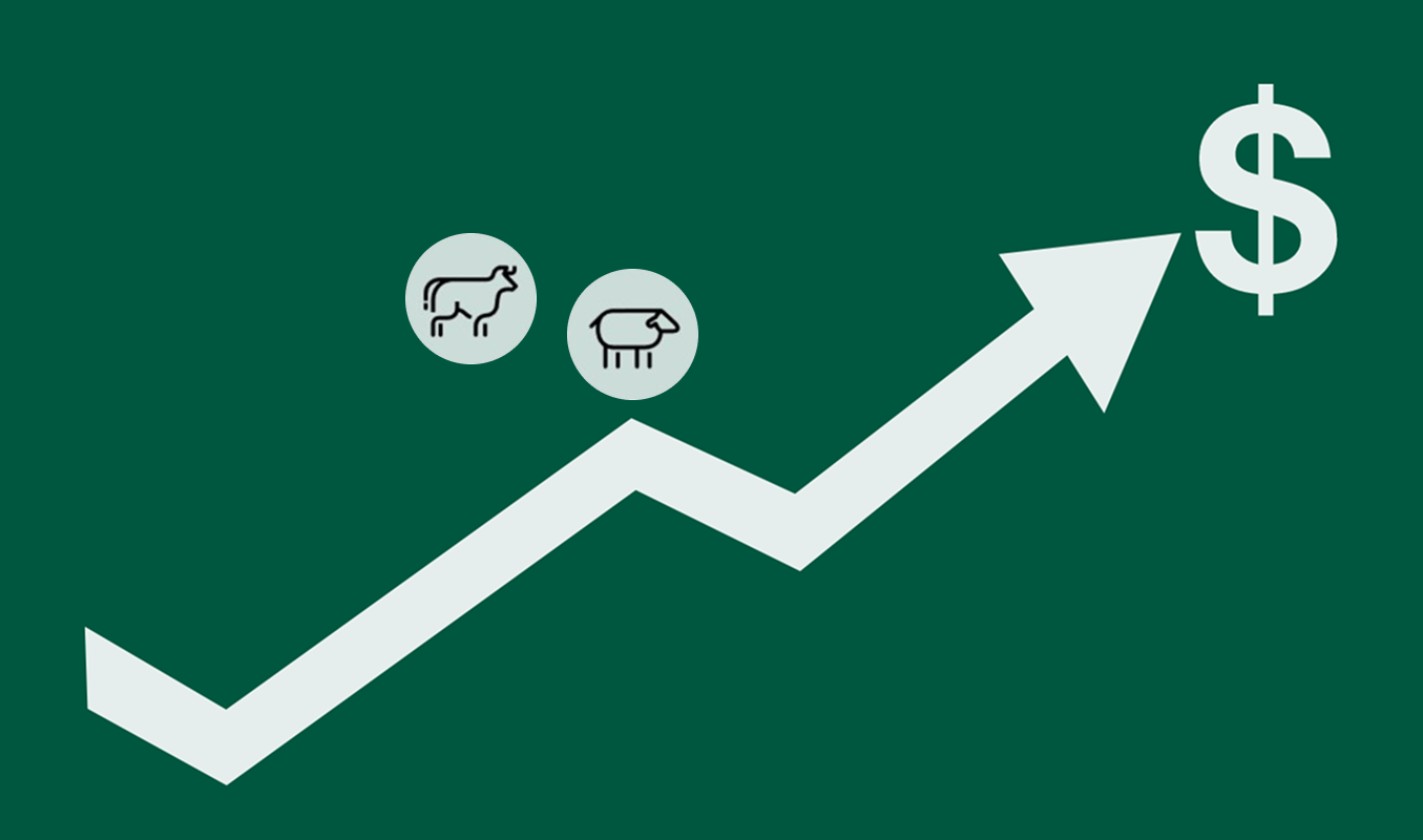 Upward trending graph with icons of cattle and sheep and a dollar symbol.