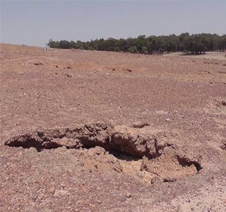 The site before treatment – the ground is dry and eroded.