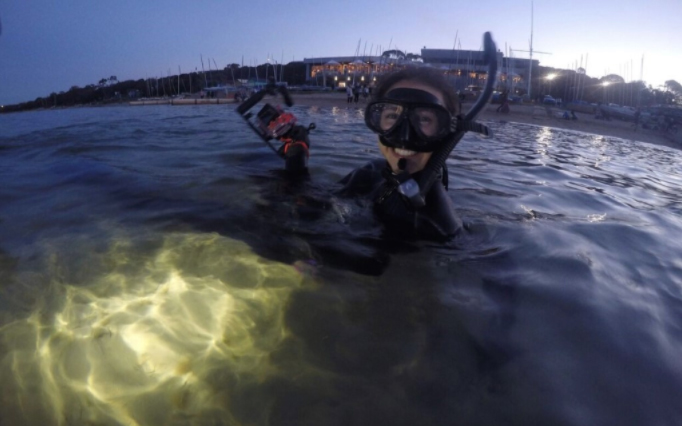 Person wearing wetsuit and snorkel in the water with torch