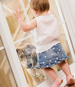 Toddler and dog, separated by glass doors