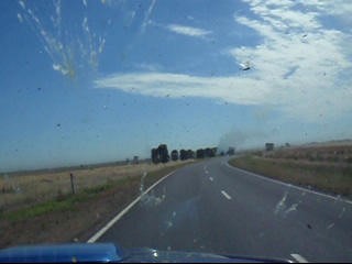 View through car windscreen with locusts splattered