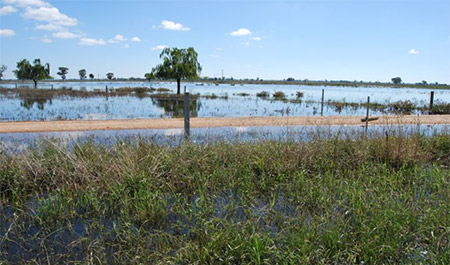 Field with pastures in foreground and flooding in background 