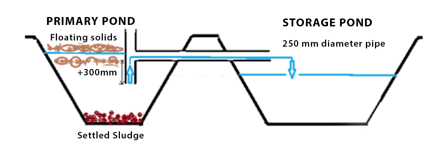 Figure 3 provides a diagram showing how a T-piece works.  The T-piece pipe is positioned in the solids pond so the lower vertical section is 300mm below the top surface of the pond so floating solids don't enter the pipe.  The diagram shows the pipe diameter to be 250mm.  Liquid is drawn up the T-piece from the primary pond and then travels through the pipe into the storage pond.