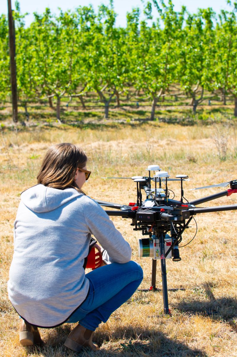 Woman looking at a drone in an orchard. 