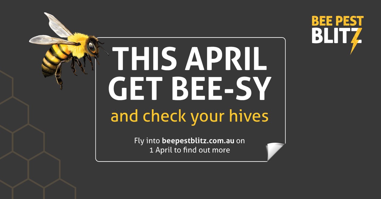 Card encouraging beekeepers to check their hives for exotic pests