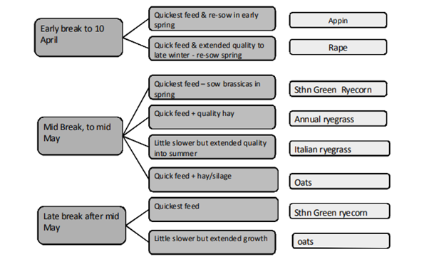 A flowchart of decisions to make on sowing feed