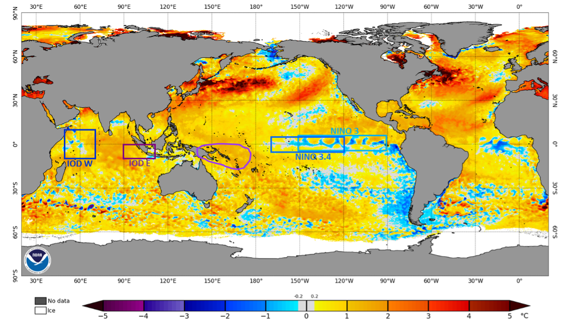 Map of the world showing sea surface temperature anomalies, the eastern equatorial Pacific in showing a narrow cool zone. The Indian Ocean has tempered in the west and is warm in the east. There is warmer water northeast of Australia in the Coral Sea.