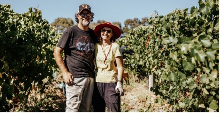 John and Kim White among their vines during the 2024 Vintage at Coatsworth Farm