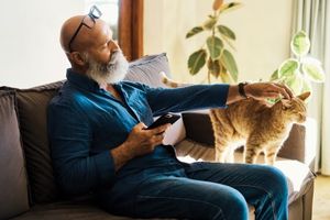 Cat owner patting cat on couch