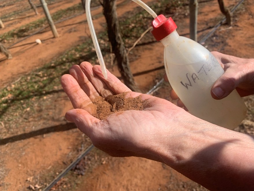 Soil on a hand being watered from a squeezy bottle.