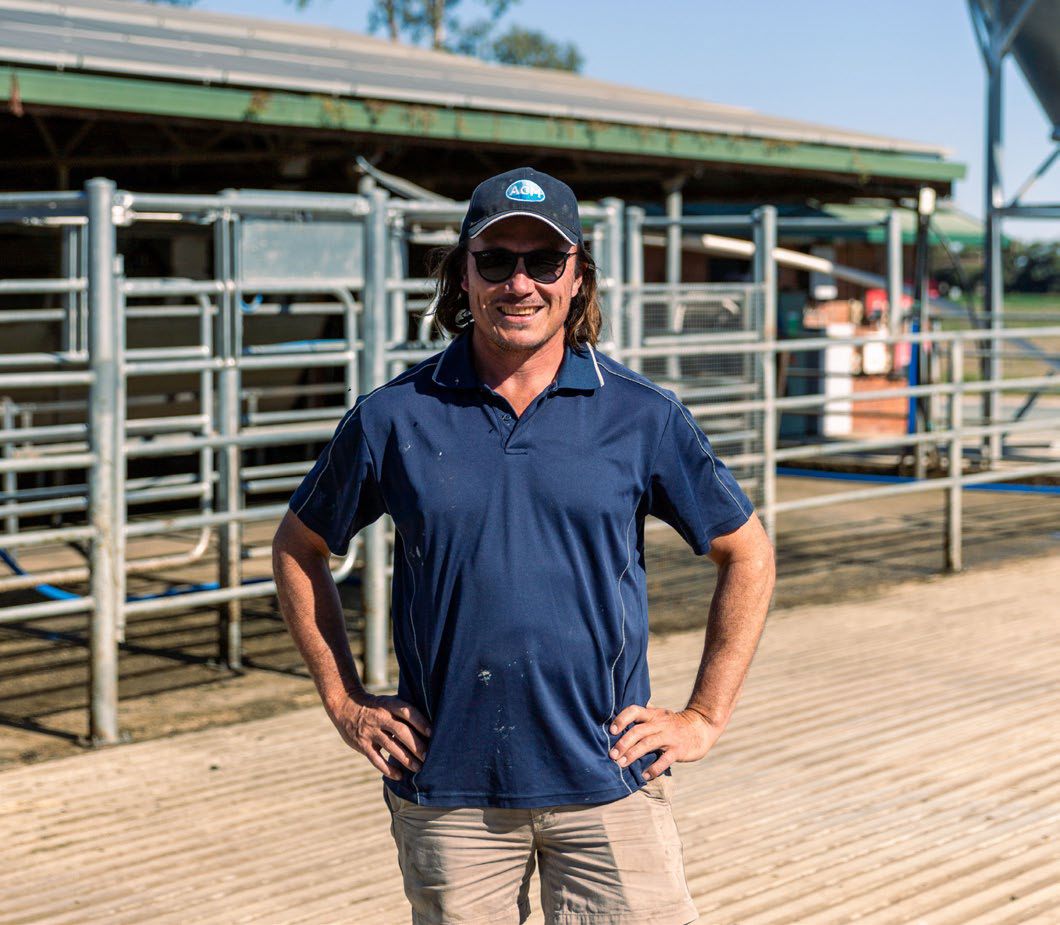 Gus, standing front on with dairy shed in the background.