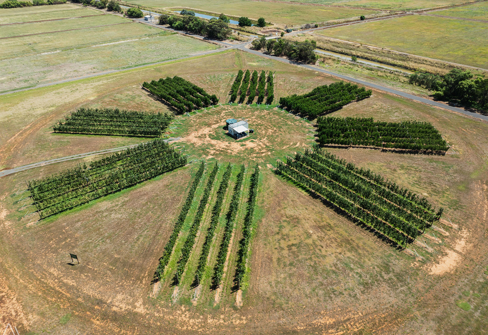 Horticultural field trials at Tatura SmartFarm captured in the Sundial Orchard.
