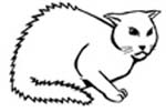  Sketch of cat legs tucked under body, head alert